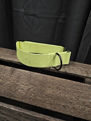 Halsband, 49 cm