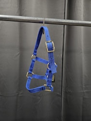 Nylongrimma, föl XS, Globus