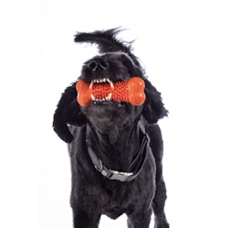 Hundleksak, HKM Buddy Bone III