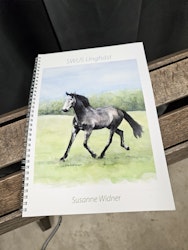 Bok: SWUS Unghäst, Susanne Widner