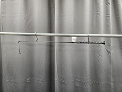 Ridspö, 75 cm