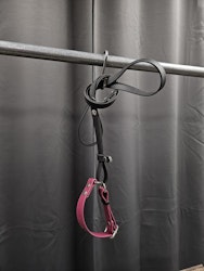 Halsband + koppel, 30 cm