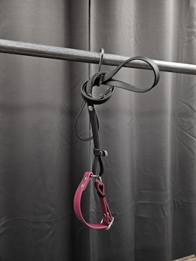 Halsband + koppel, 30 cm