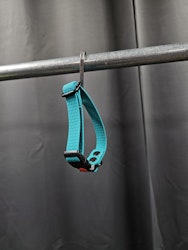 Halsband, 20-30 cm