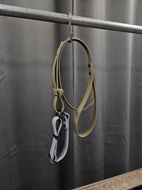 Halsband + koppel,