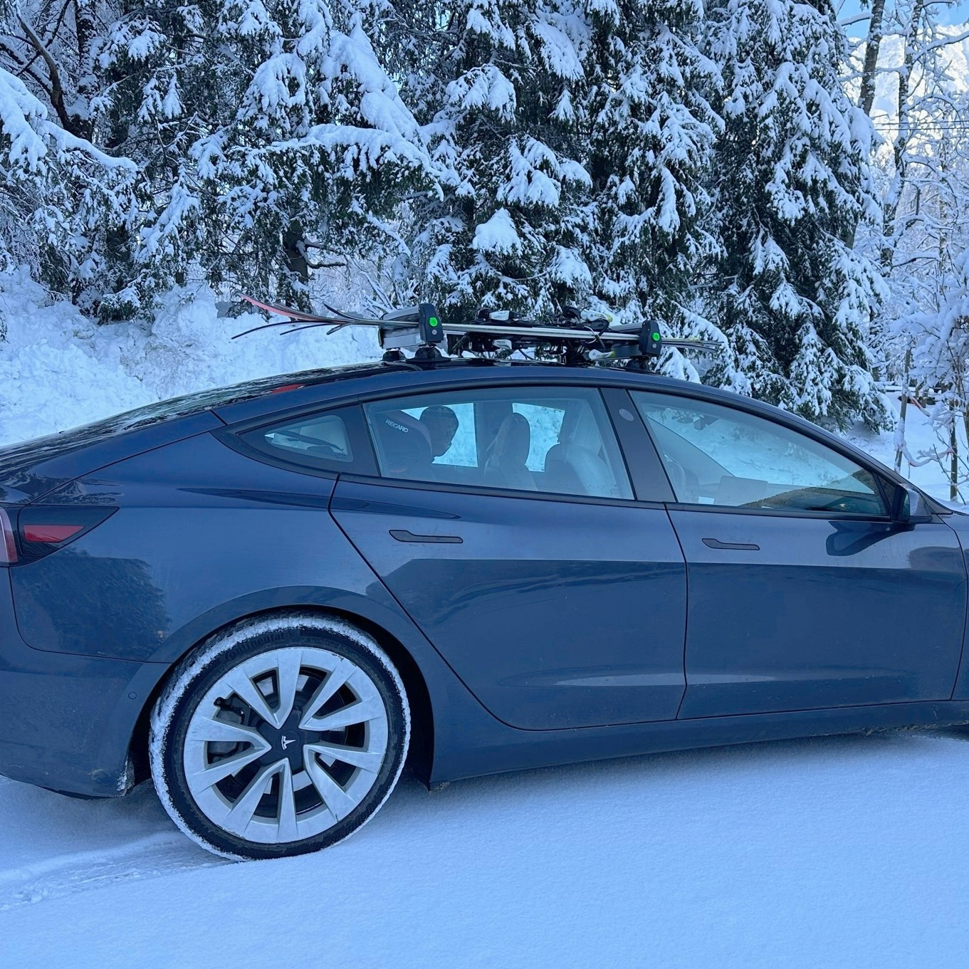 Vacuumräcken till skidor/snowboards - Tesla Model S/3/Y+ID3/ID4 - Tillbehör  till Tesla o ID.3/ID.4 - köp online hos teslify.se