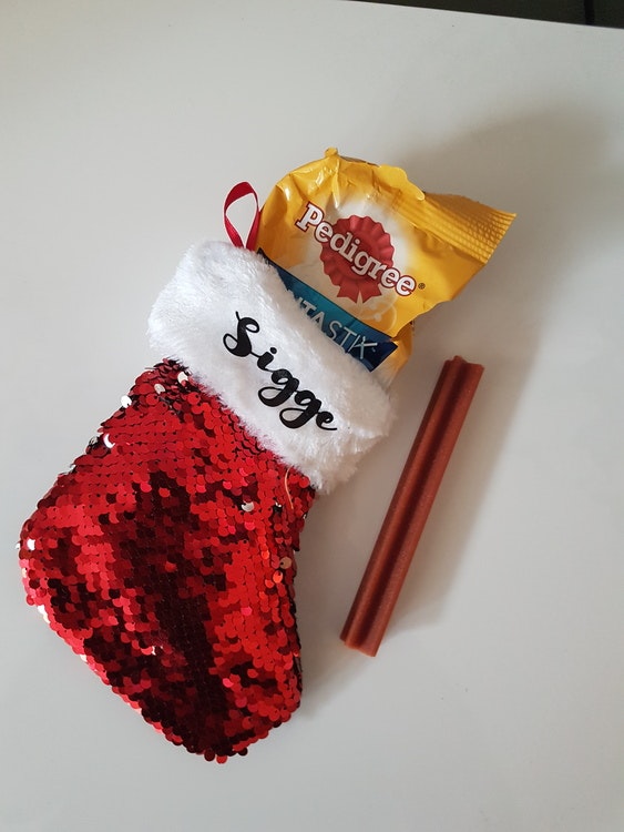 Julstrumpa - husdjur