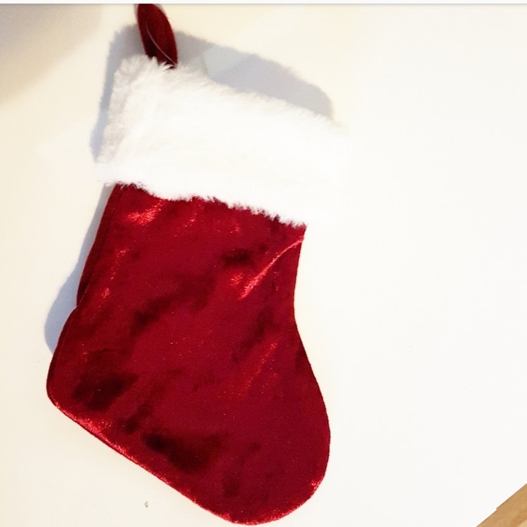Julstrumpa - husdjur