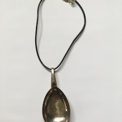 Halsband silversked