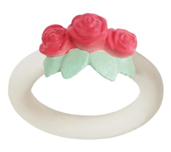 Bitring ros