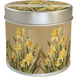 Doftljus citron