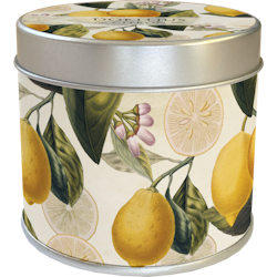 Doftljus citron