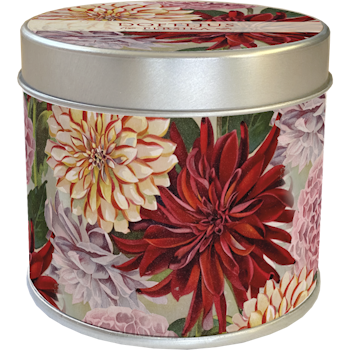 Doftljus dahlia
