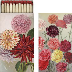 Tändstickor dahlia