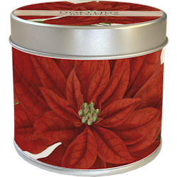 Doftljus juläpple