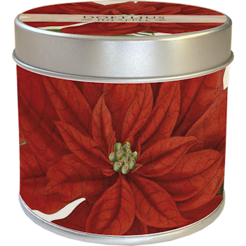 Doftljus juläpple