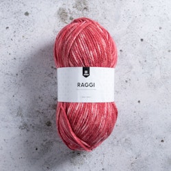 Raggi rose hip melange 100g
