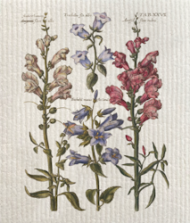 Disktrasa blommor