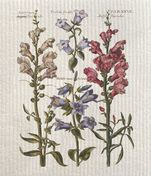 Disktrasa blommor