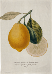 Kökshandduk citron