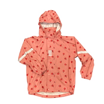Rosa regnjacka stl 122