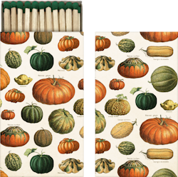 Tändstickor pumpor