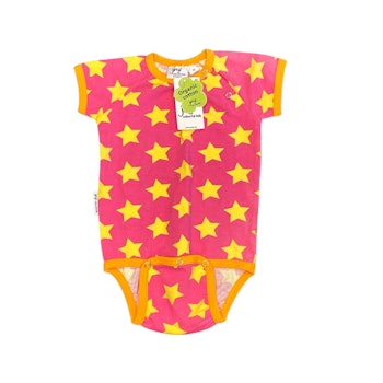 Rosa body stl 80