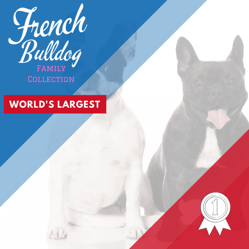 The French Bulldog Family Collection!