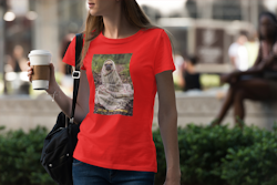 Obi One The Frenchie (txt) T-Shirt Dam