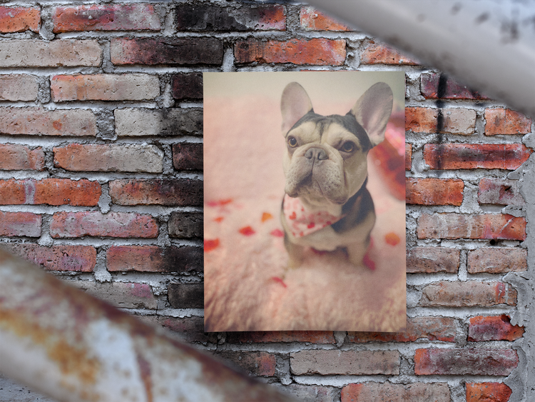 Frenchie Love Poster