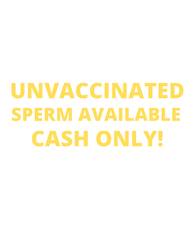 Unvaccinated Sperm Klistermärke