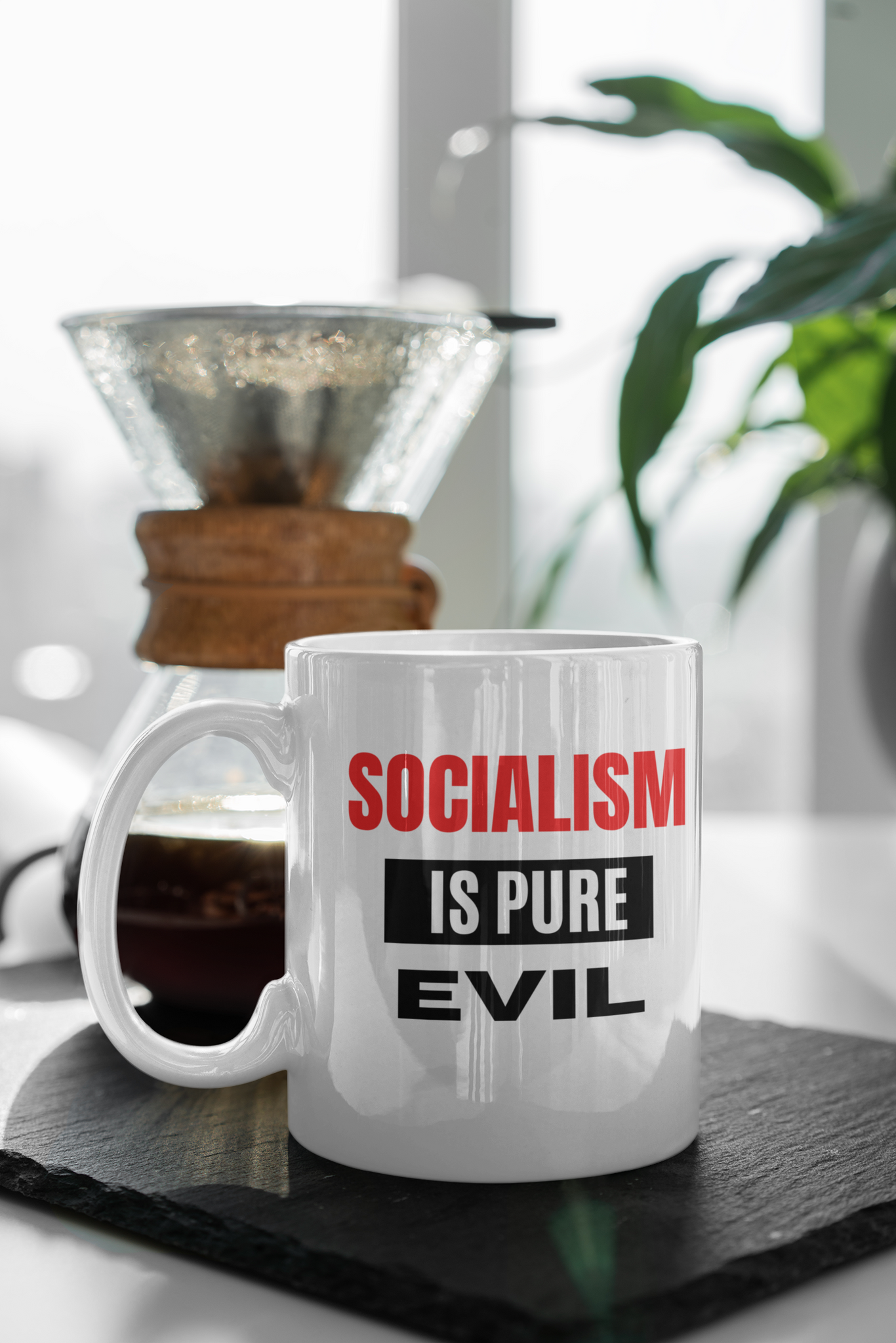 Socialism Is Pure Evil Mugg