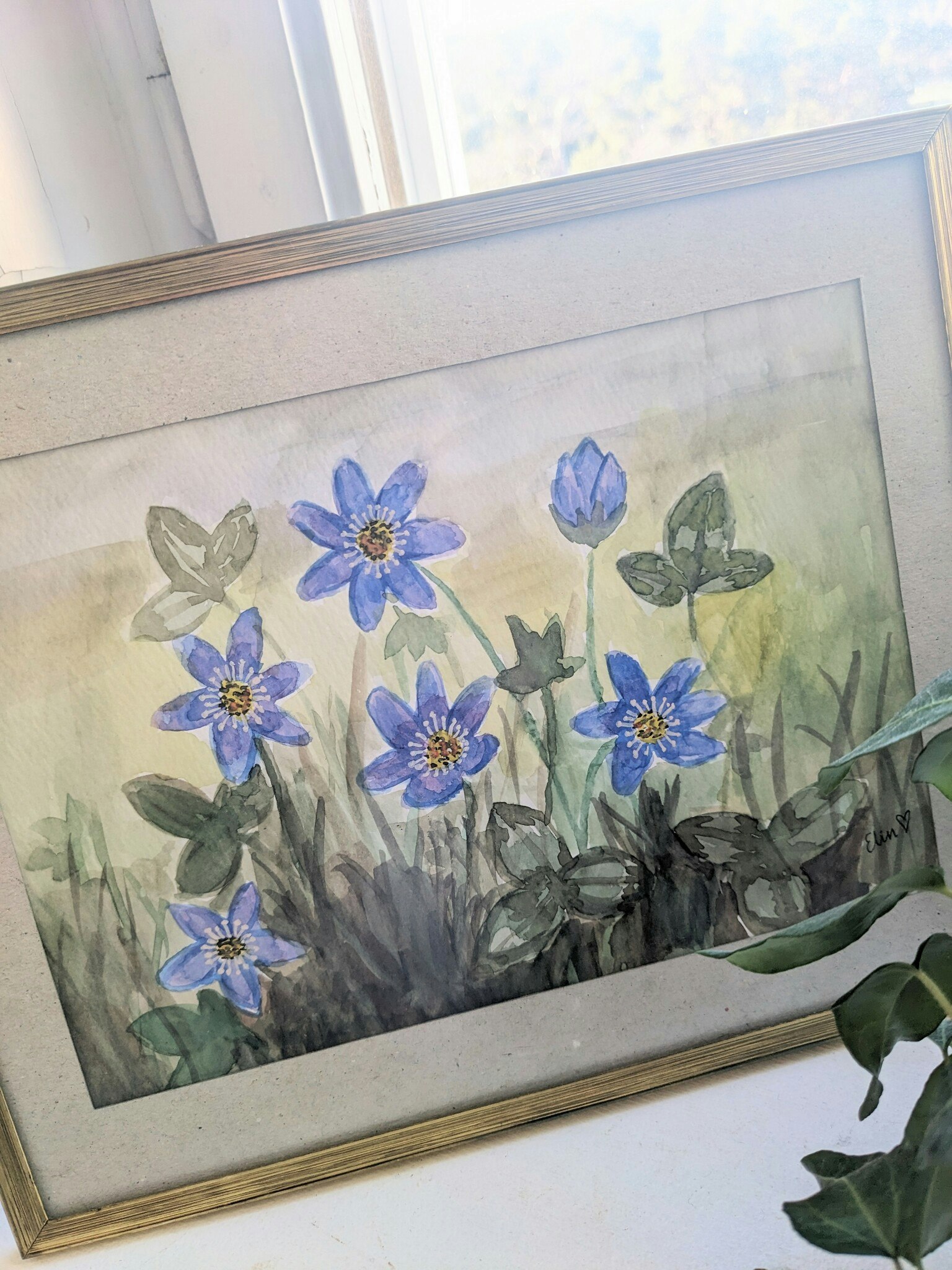 Inramad Akvarell- Blåsippor