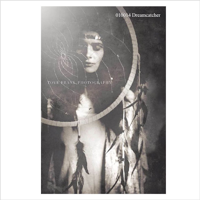 Poster Tove Frank - Dreamcatcher