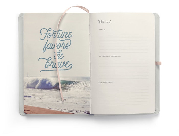 Dagbok "Planera för dina drömmar" - Sporrong böcker