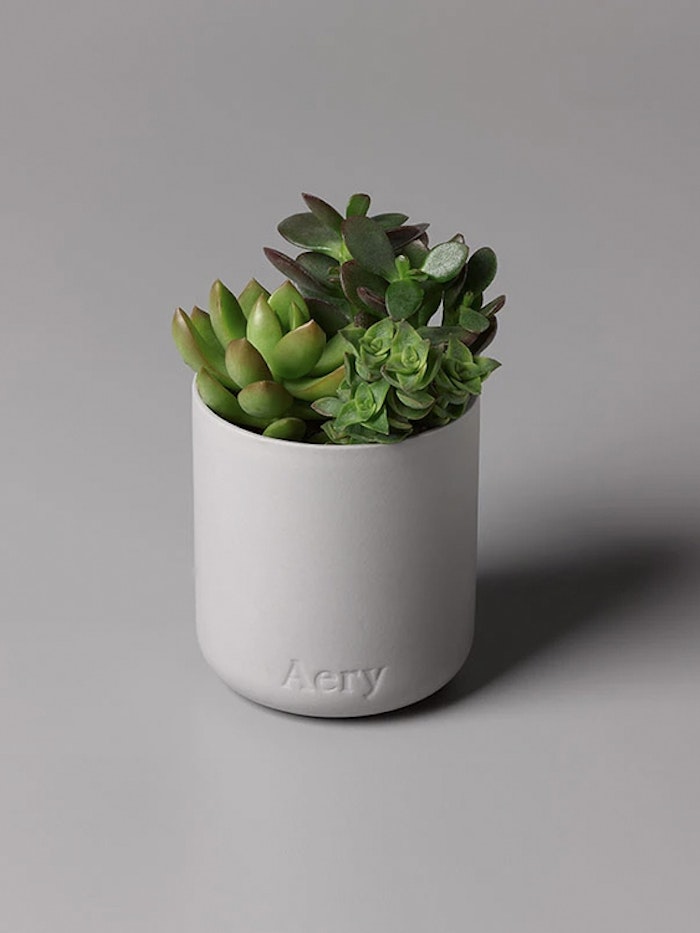 Doftljus aromaterapi "Persian Thyme" - Aery Living