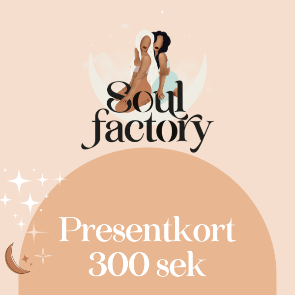 Presentkort 300 kr