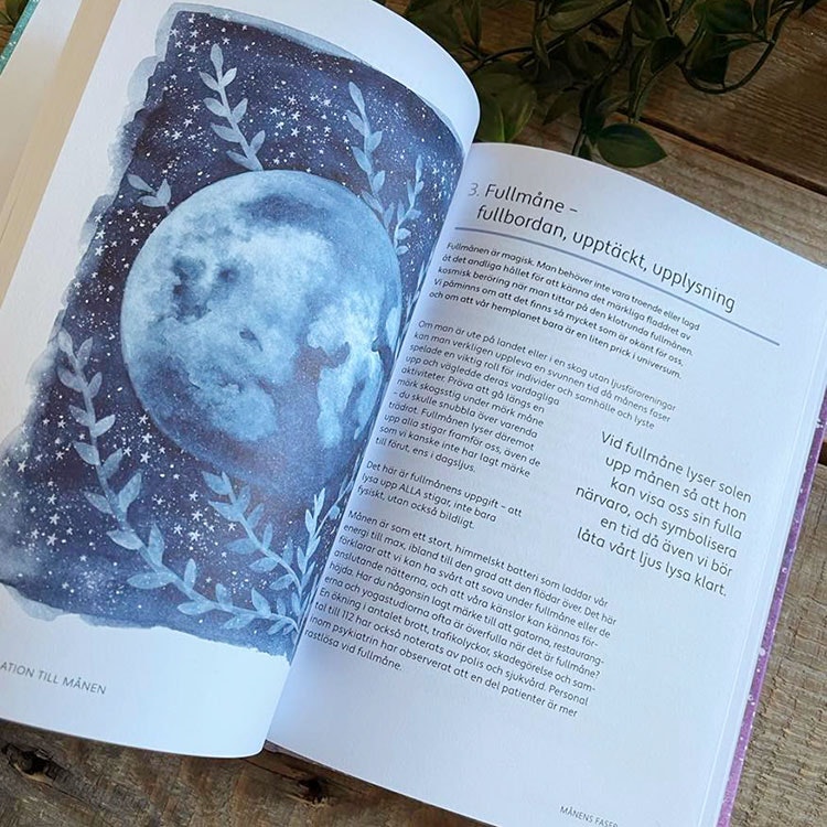 Bok "Månkraft" - Merilyn Keskula