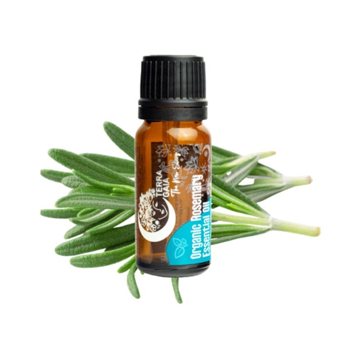 Eterisk olja Organic Rosemary 10ml - Terra Gaia