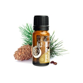 Eterisk olja Organic Cedarwood 10ml - Terra Gaia