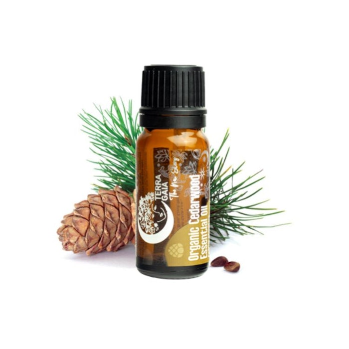 Eterisk olja Organic Cedarwood 10ml - Terra Gaia