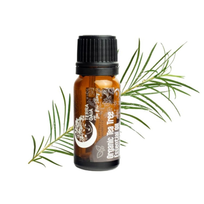 Eterisk olja Organic Tea Tree 10ml - Terra Gaia