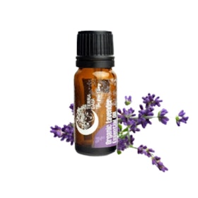 Eterisk olja Organic Lavender 10ml - Terra Gaia