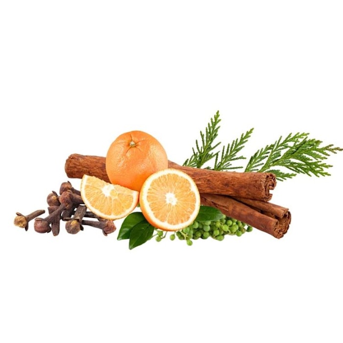 Eterisk olja Organic Christmas Glory 10ml - Terra Gaia
