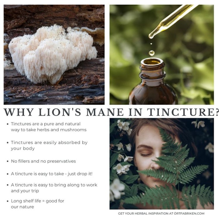 Lion´s Mane (svamp) tinktur - Örtfabriken