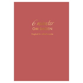 Dagbok "6 minuter om dagen" - Dominik Spenst