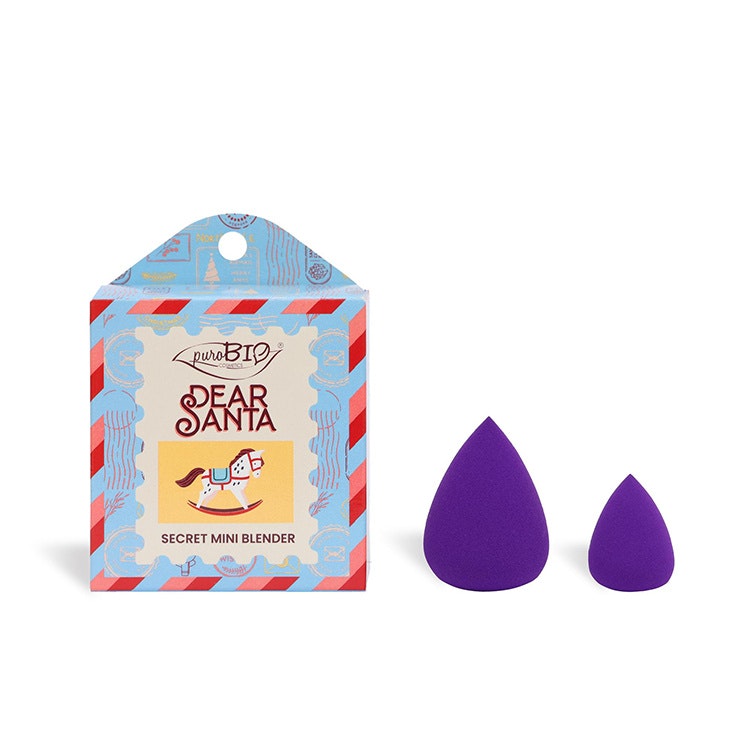 Secret Mini Blender Kit