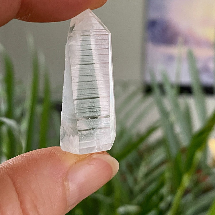 Lemurian Spets Mini