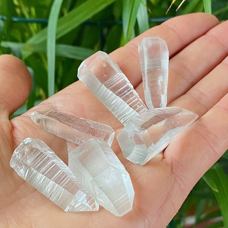 Lemurian Spets Mini