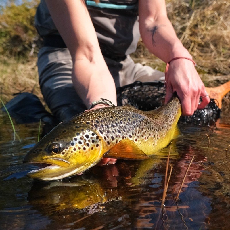 Prognos Åre/Jämtland - vecka 23
